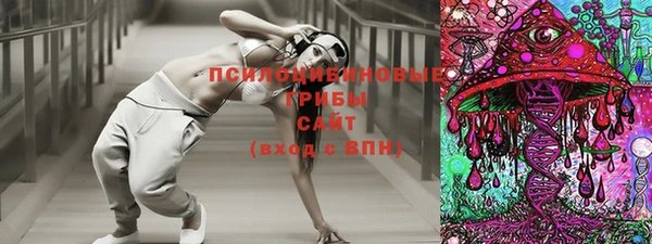 прущий лед Алексин